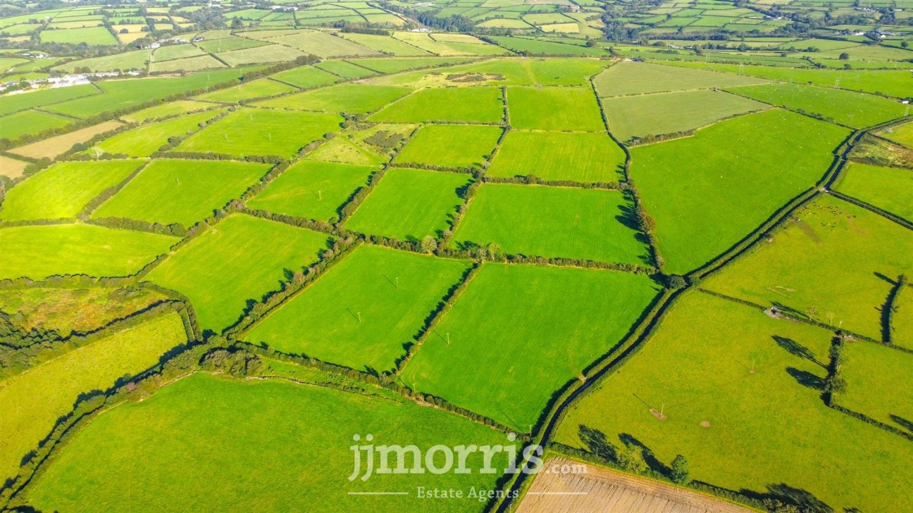 Brafle Farm, Pentre-Cwrt, SA44