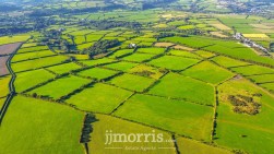 Brafle Farm, Pentre-Cwrt, SA44