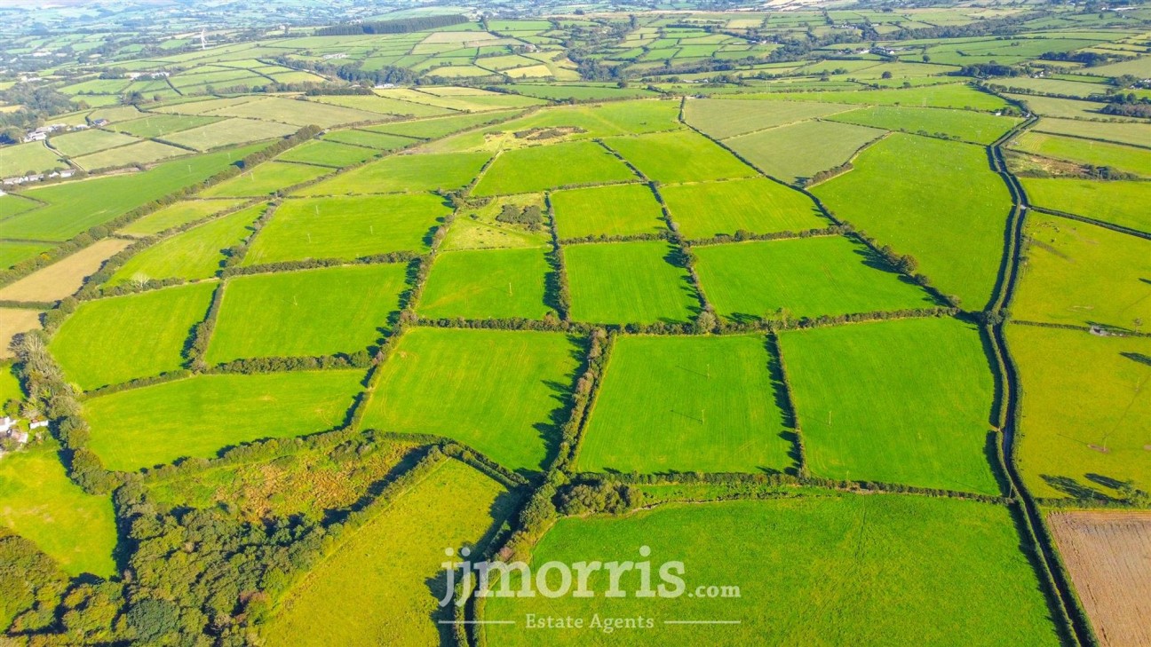 Brafle Farm, Pentre-Cwrt, SA44