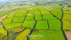 Brafle Farm, Pentre-Cwrt, SA44