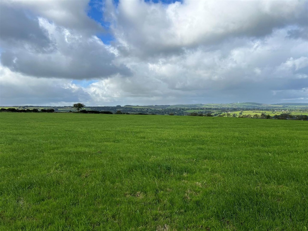 Brafle Farm, Pentre-Cwrt, SA44