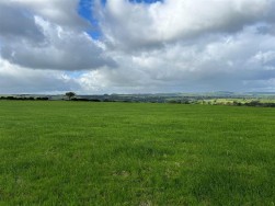 Brafle Farm, Pentre-Cwrt, SA44