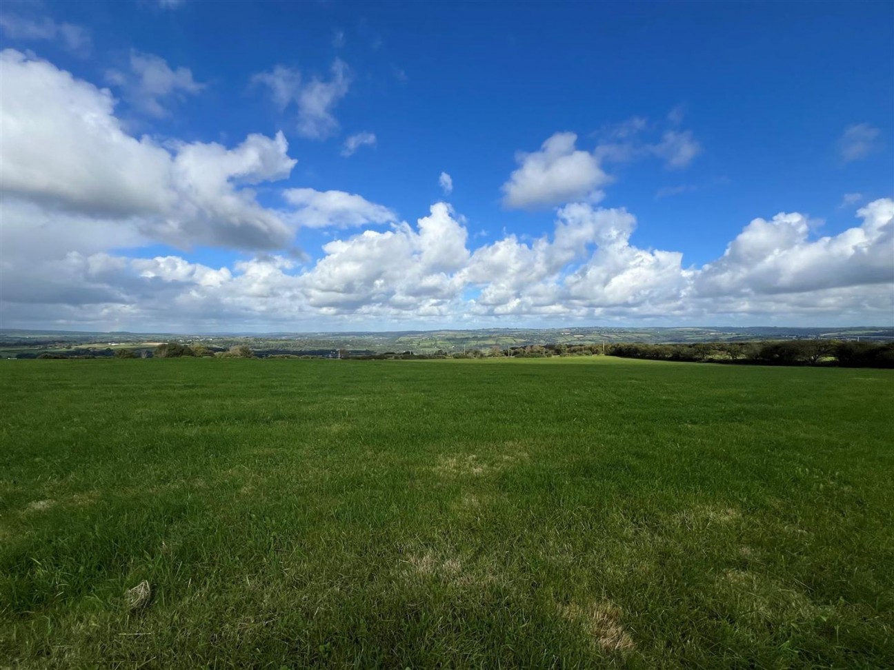 Brafle Farm, Pentre-Cwrt, SA44