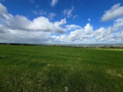 Brafle Farm, Pentre-Cwrt, SA44