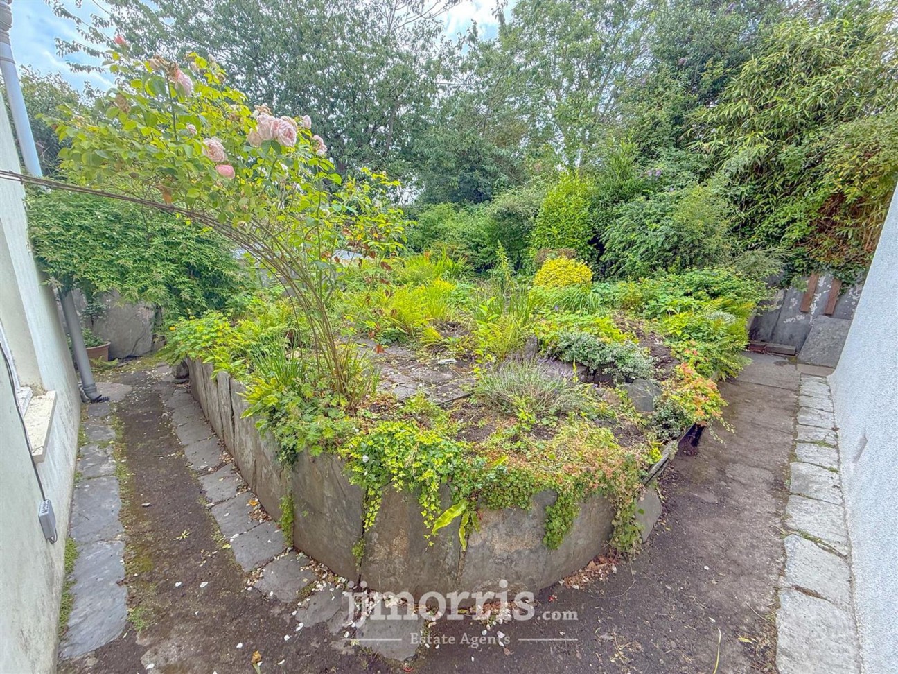 Long Street, Newport, SA42