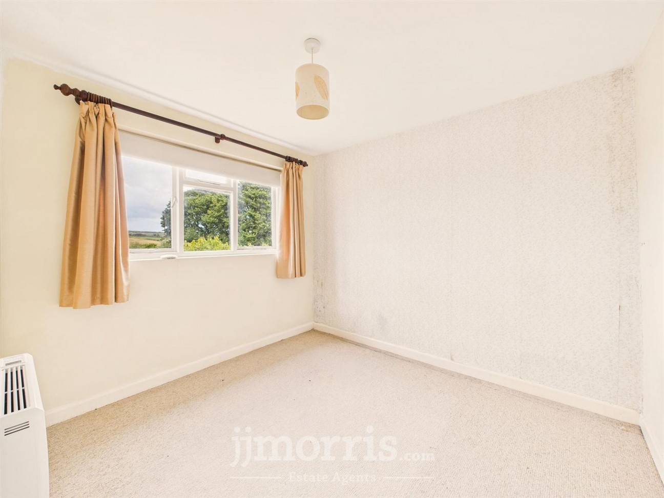 Long Street, Newport, SA42