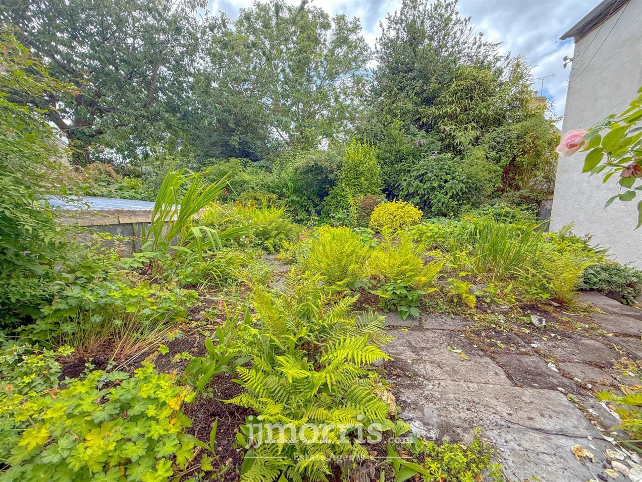 Long Street, Newport, SA42