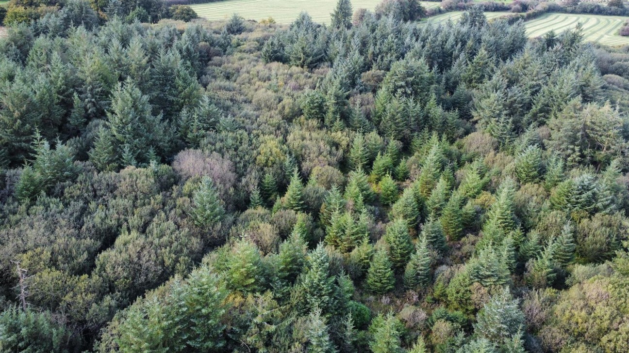 Maenclochog, Clynderwen, SA66