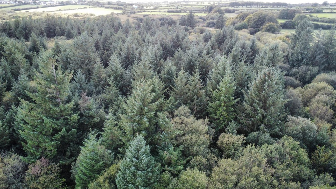 Maenclochog, Clynderwen, SA66