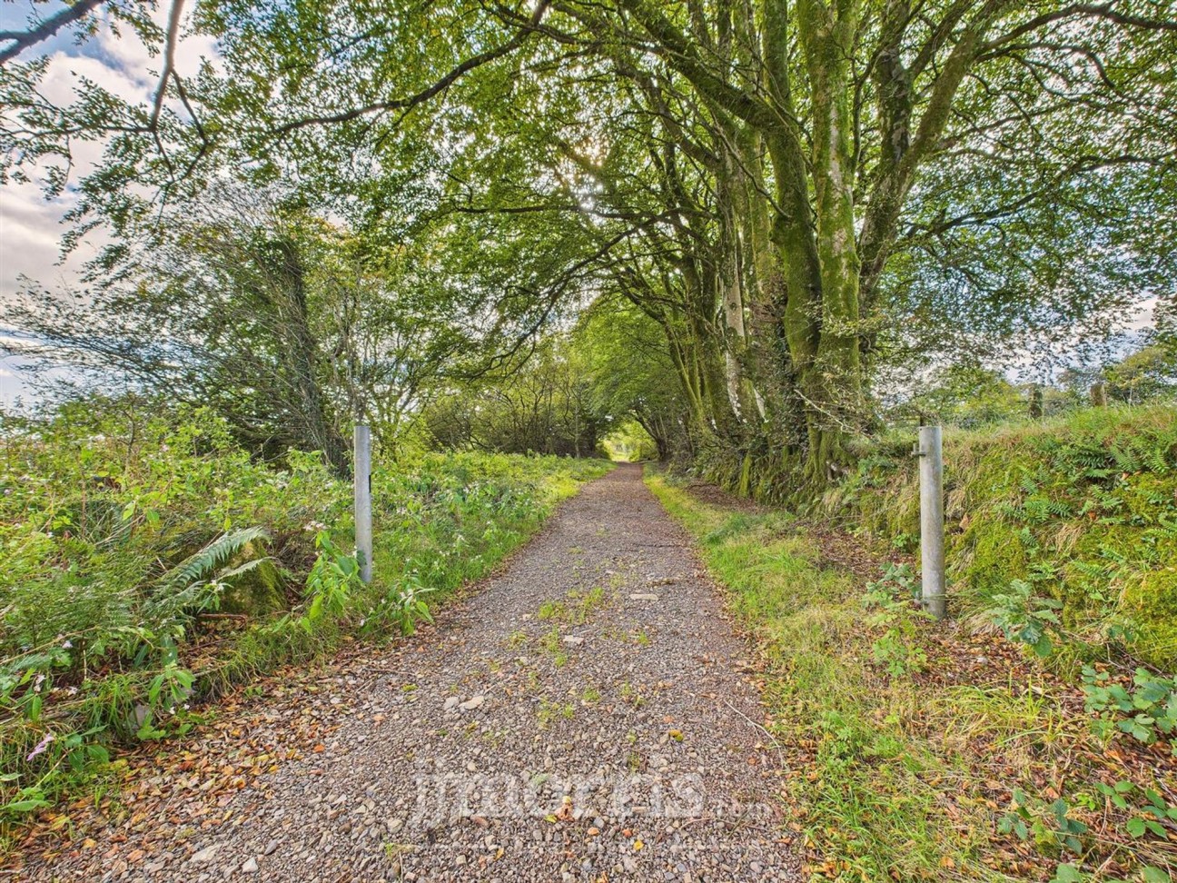 Maenclochog, Clynderwen, SA66