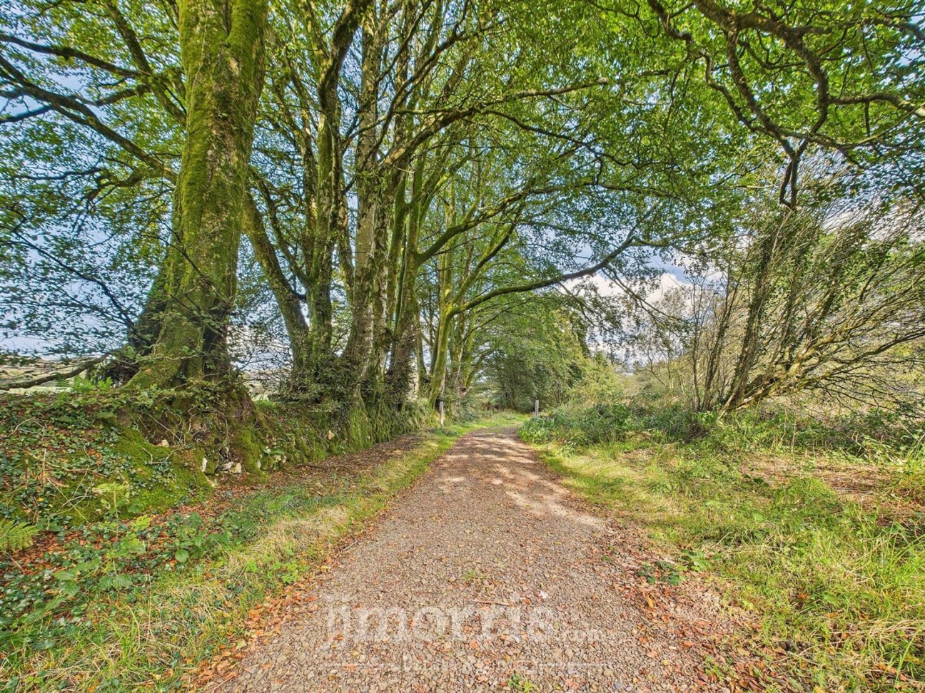 Maenclochog, Clynderwen, SA66