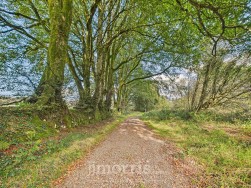 Maenclochog, Clynderwen, SA66