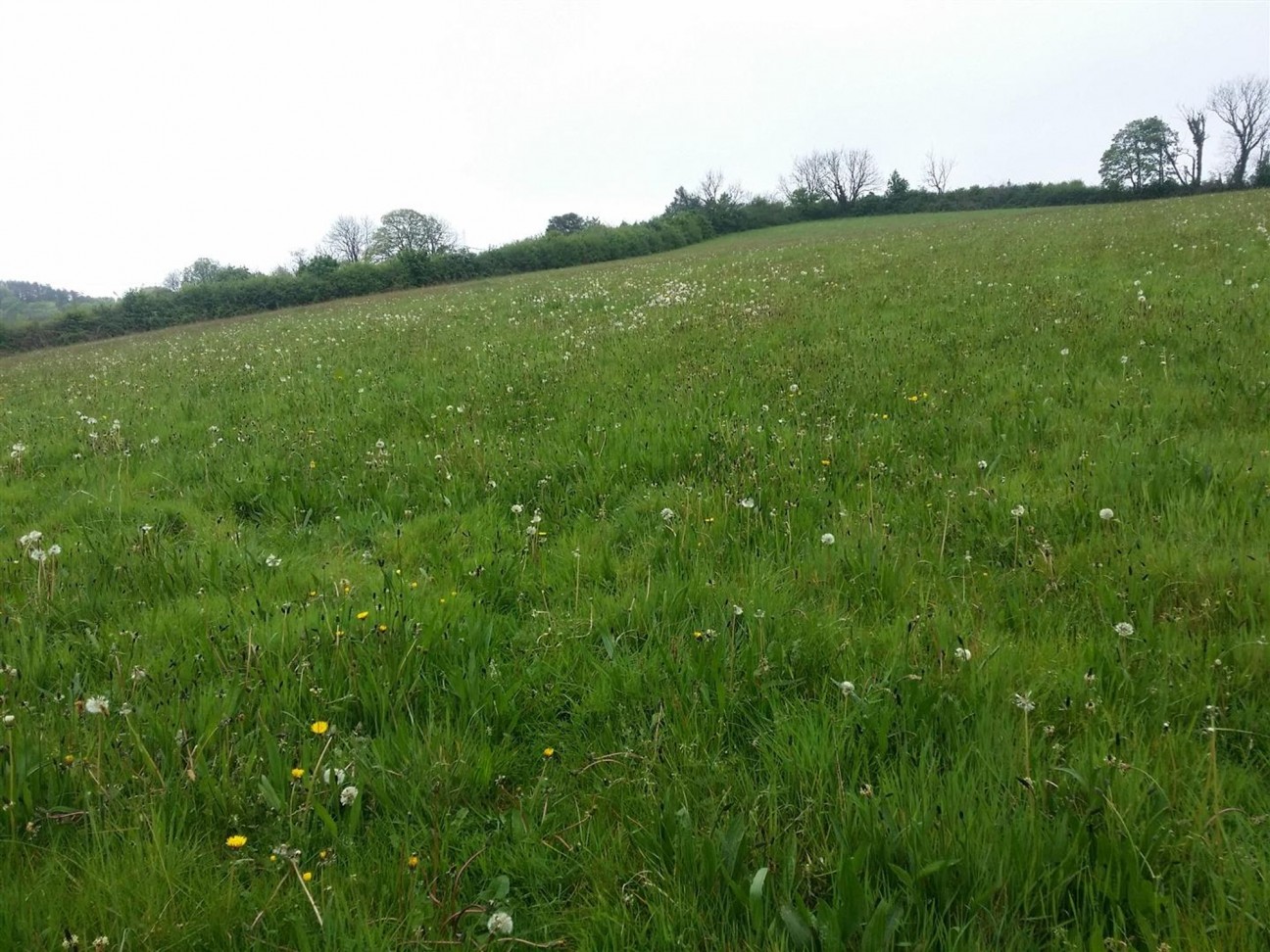 Llangain, Carmarthen, SA33