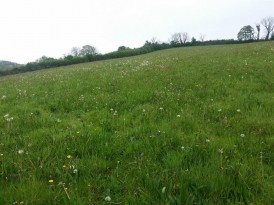 Llangain, Carmarthen, SA33