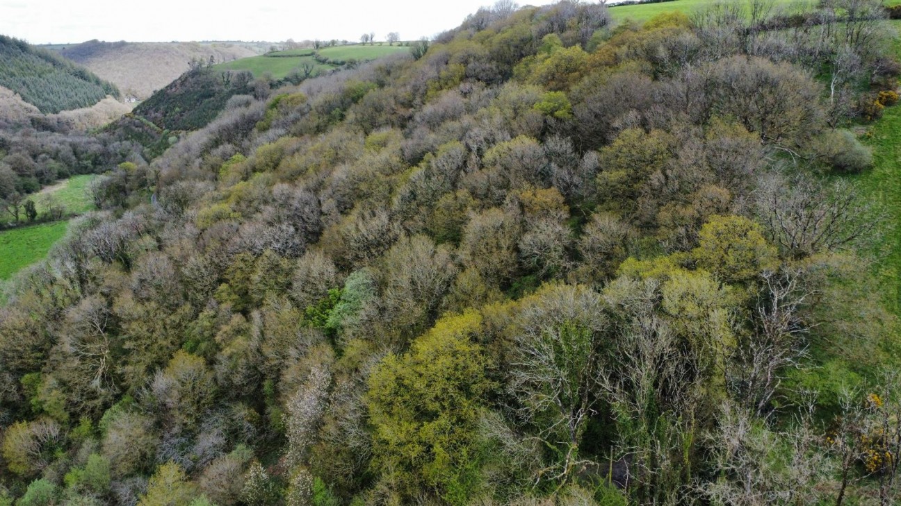 2.79 Acres (Edged Red), Carmarthen, SA33