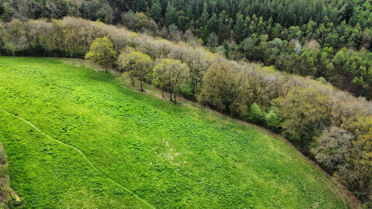 2.79 Acres (Edged Red), Carmarthen, SA33