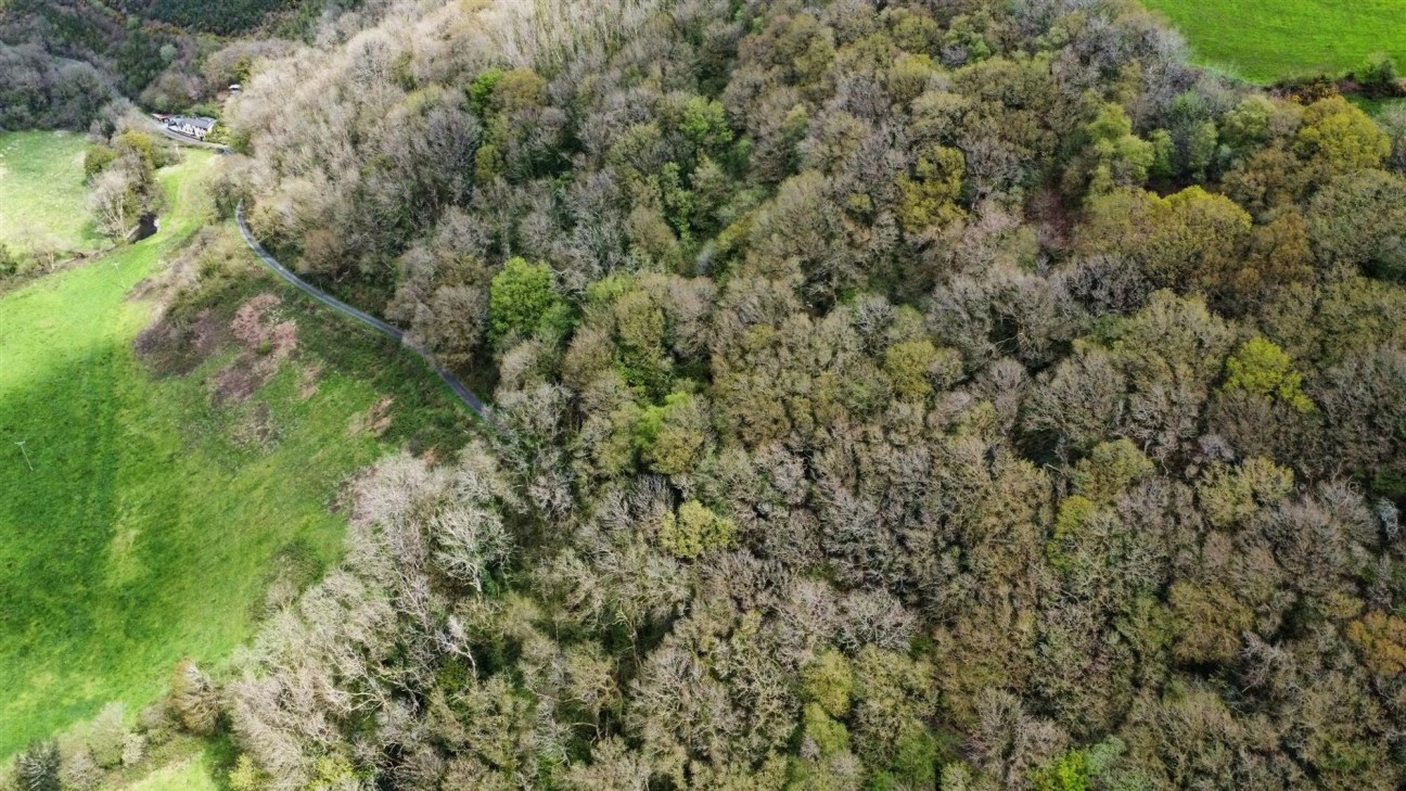 2.79 Acres (Edged Red), Carmarthen, SA33