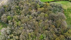 2.79 Acres (Edged Red), Carmarthen, SA33