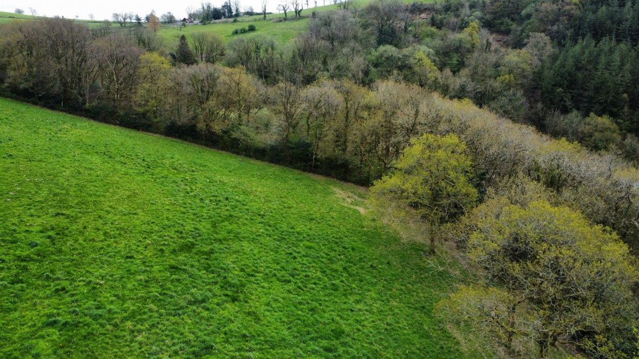 2.79 Acres (Edged Red), Carmarthen, SA33