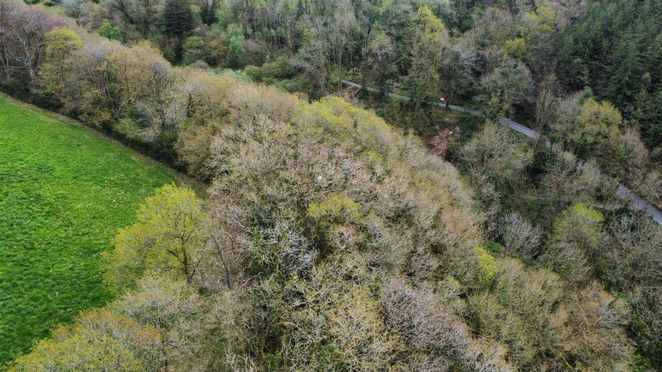 2.79 Acres (Edged Red), Carmarthen, SA33