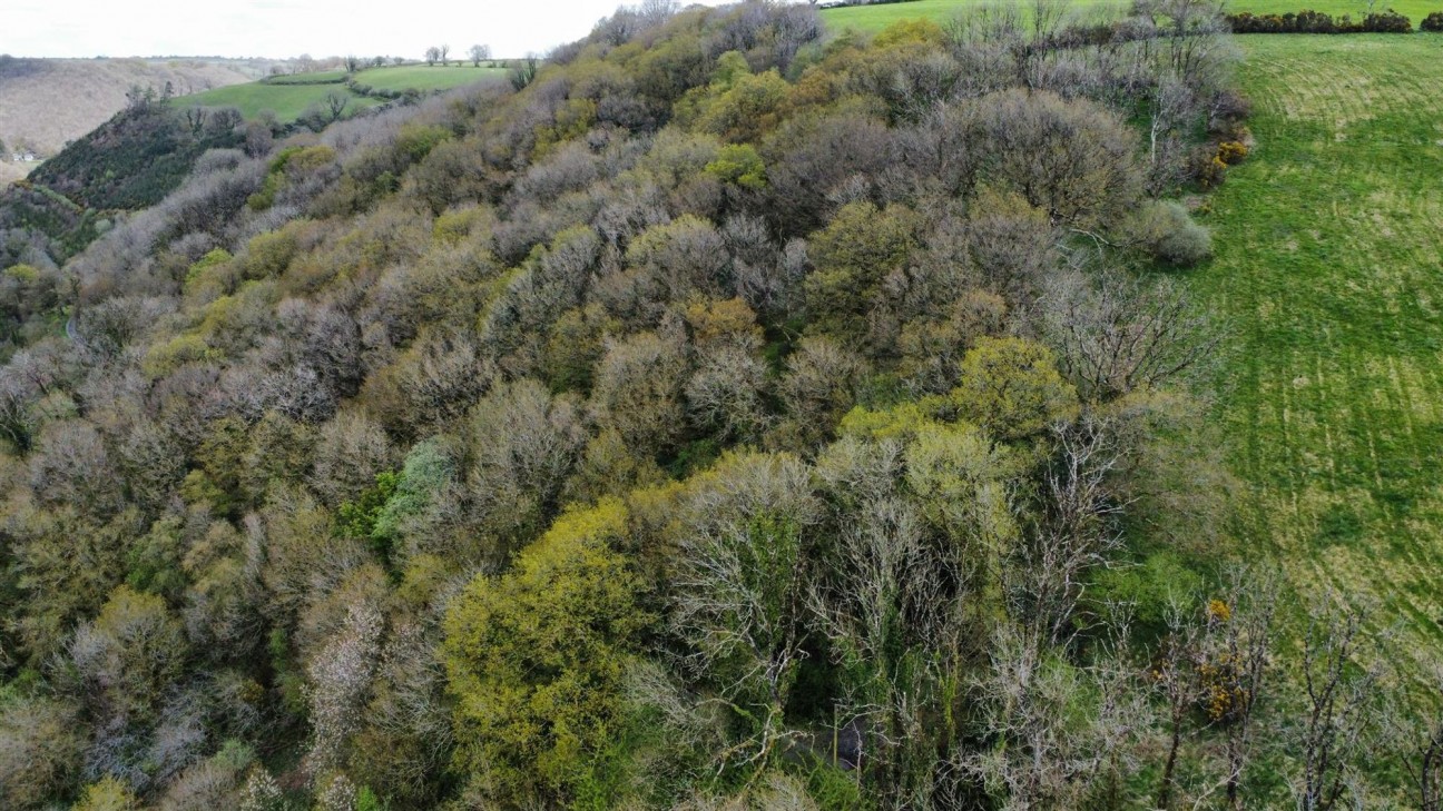 2.79 Acres (Edged Red), Carmarthen, SA33