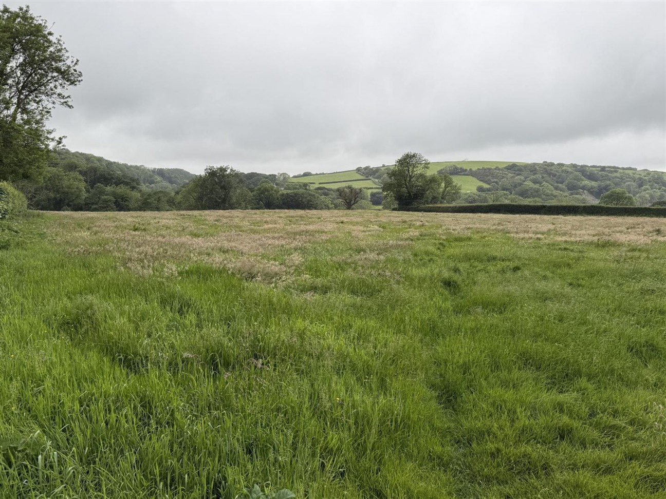 Of Agricultural Land Being Part Of Glandwr Farm, Fishguard, SA65