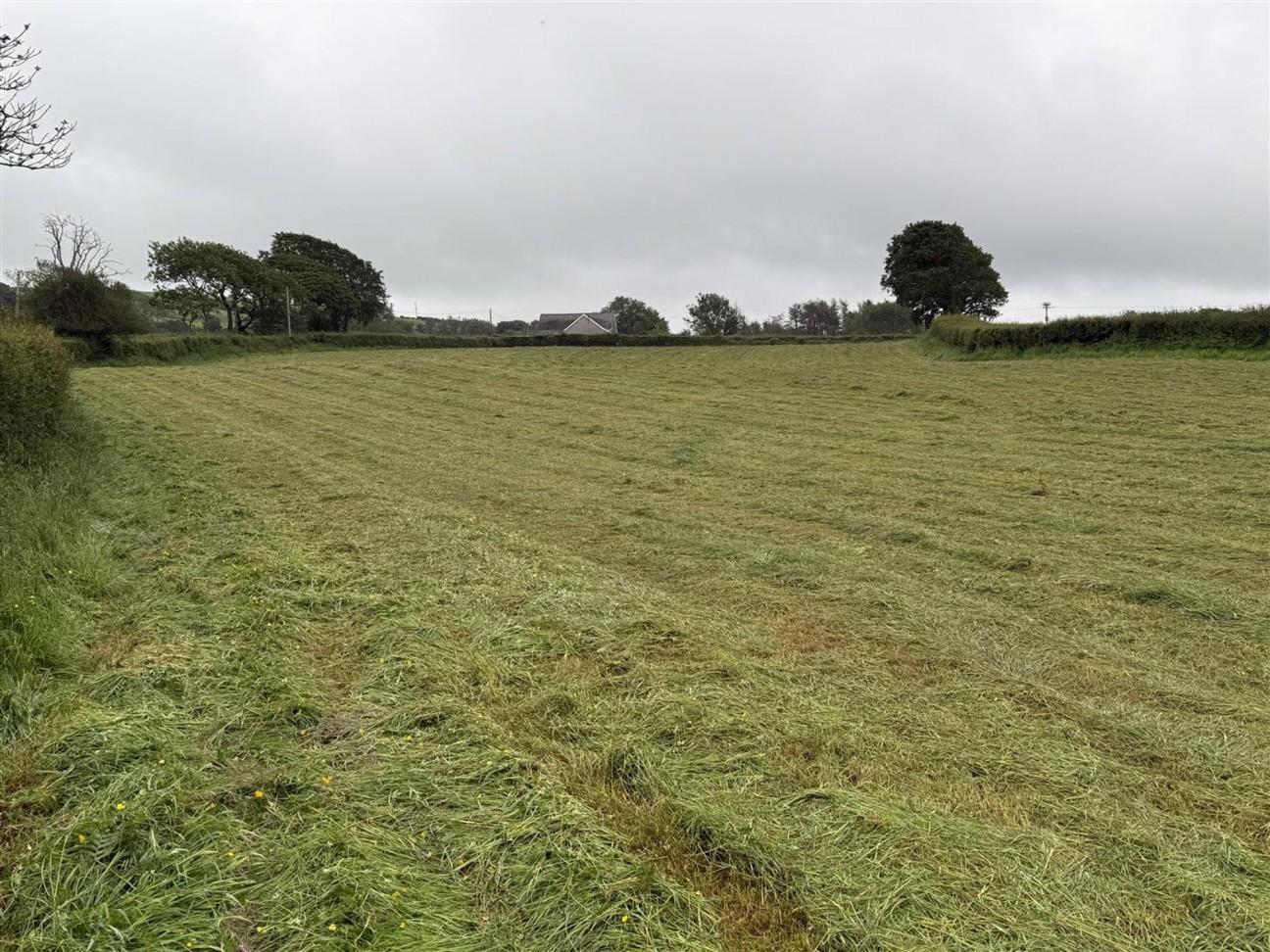 Of Agricultural Land Being Part Of Glandwr Farm, Fishguard, SA65