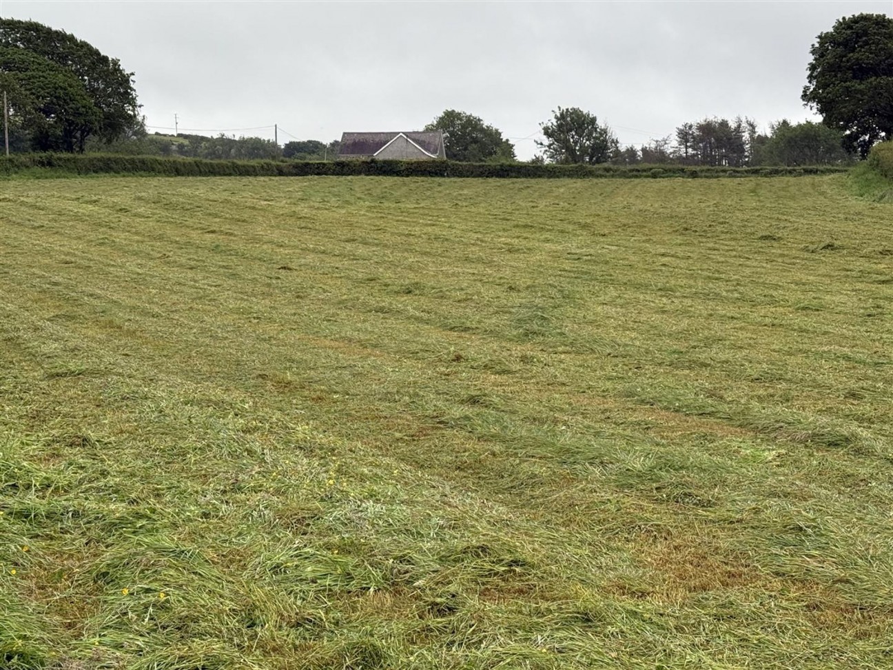 Of Agricultural Land Being Part Of Glandwr Farm, Fishguard, SA65