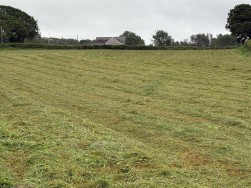 Of Agricultural Land Being Part Of Glandwr Farm, Fishguard, SA65