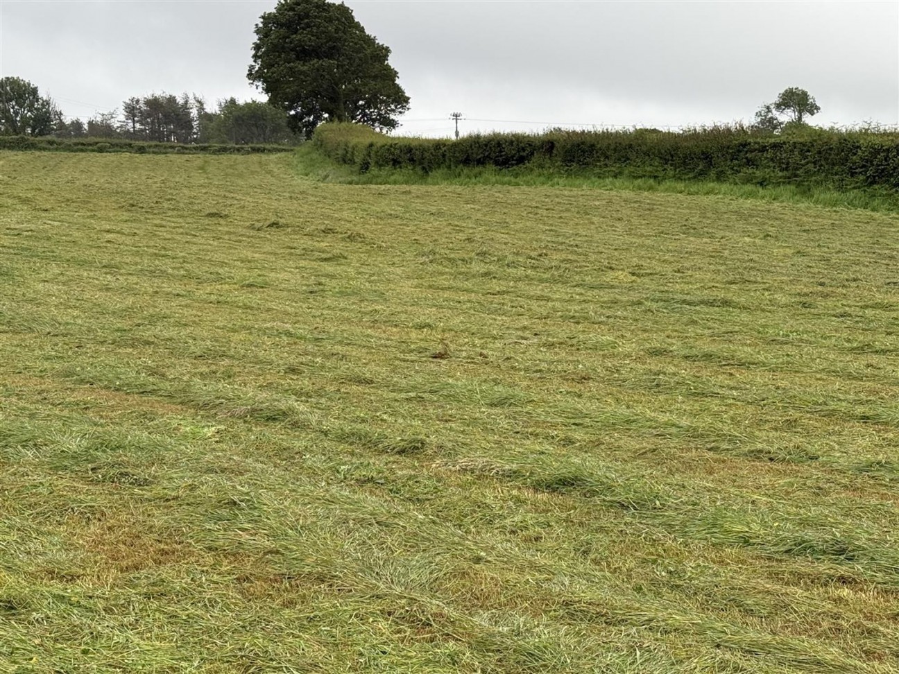 Of Agricultural Land Being Part Of Glandwr Farm, Fishguard, SA65