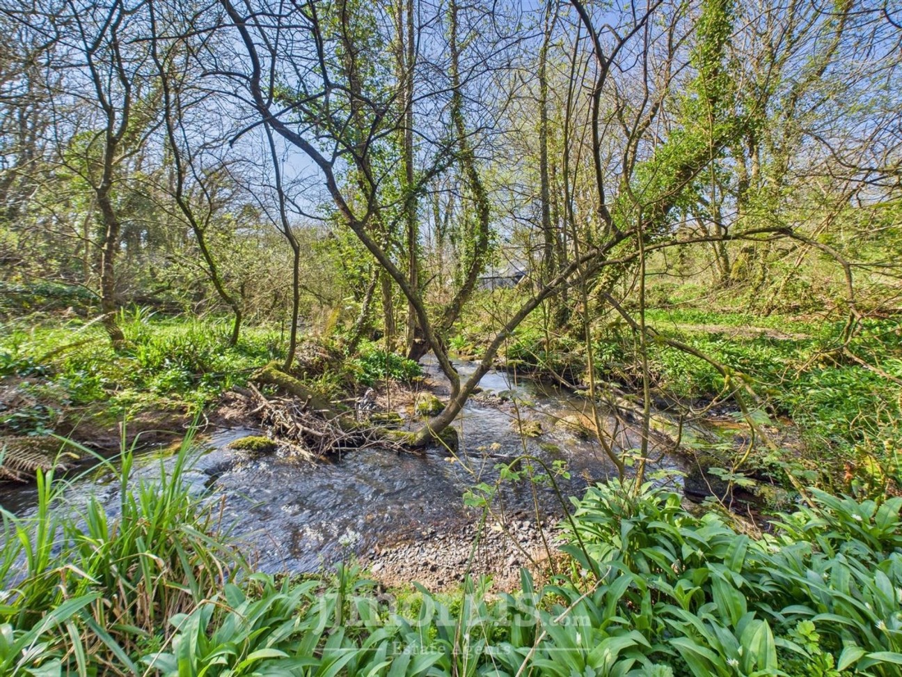 Castlemorris, Tregwynt, SA62