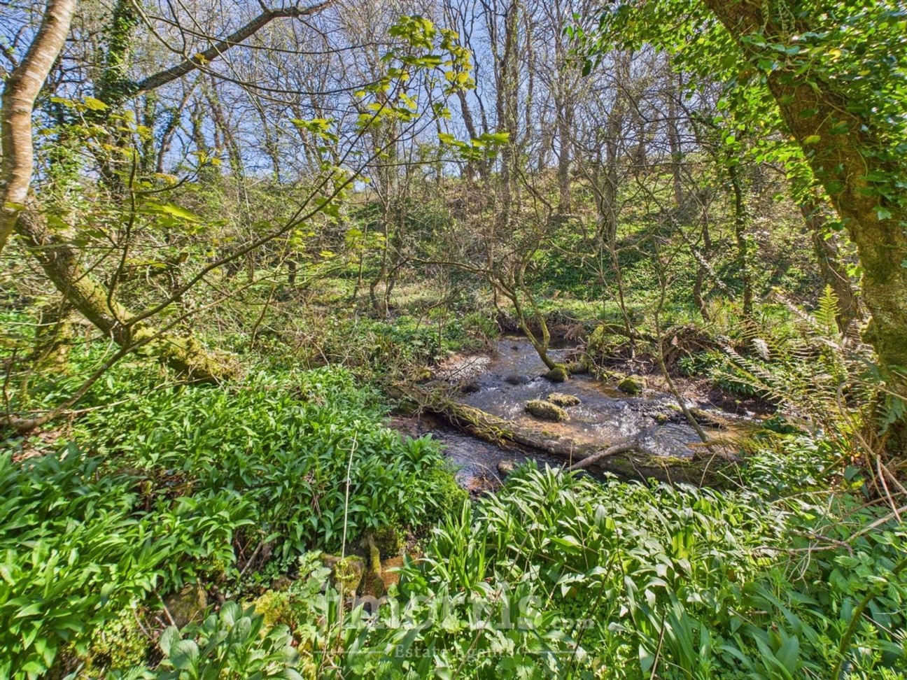 Castlemorris, Tregwynt, SA62