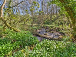 Castlemorris, Tregwynt, SA62