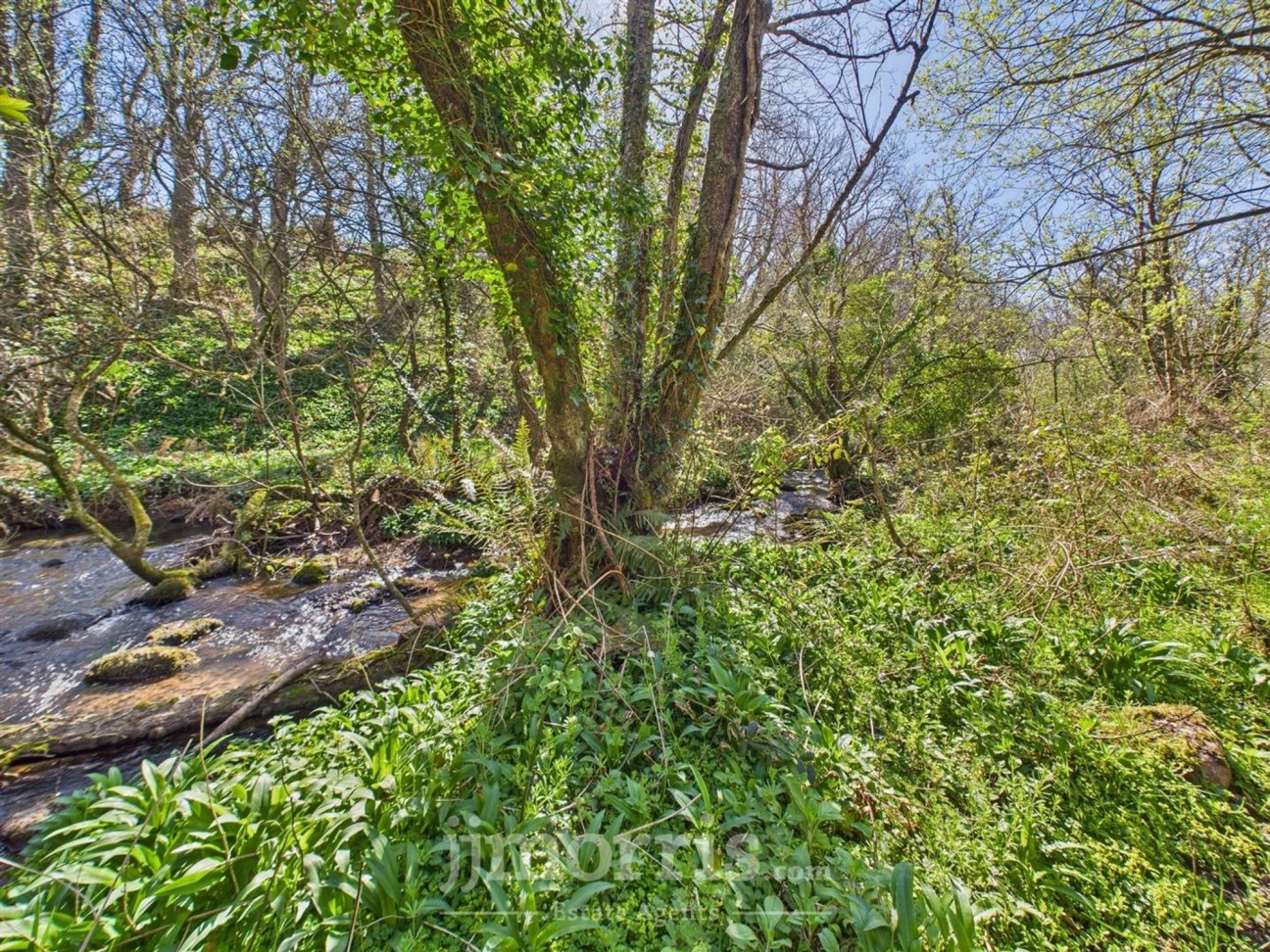 Castlemorris, Tregwynt, SA62