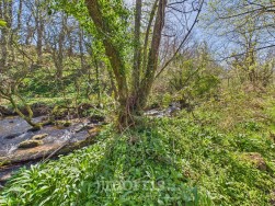 Castlemorris, Tregwynt, SA62