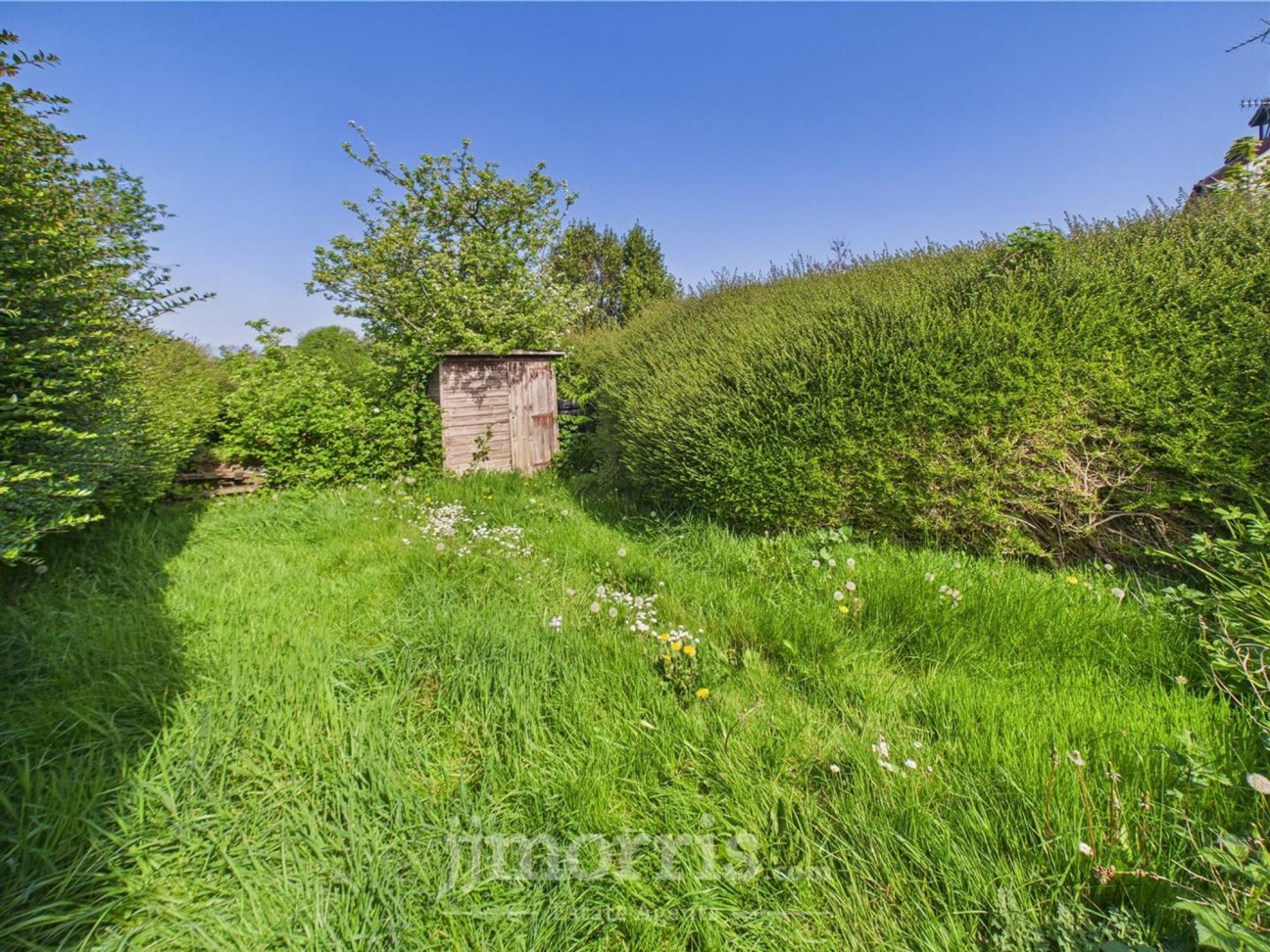 Dinas Cross, Newport, SA42