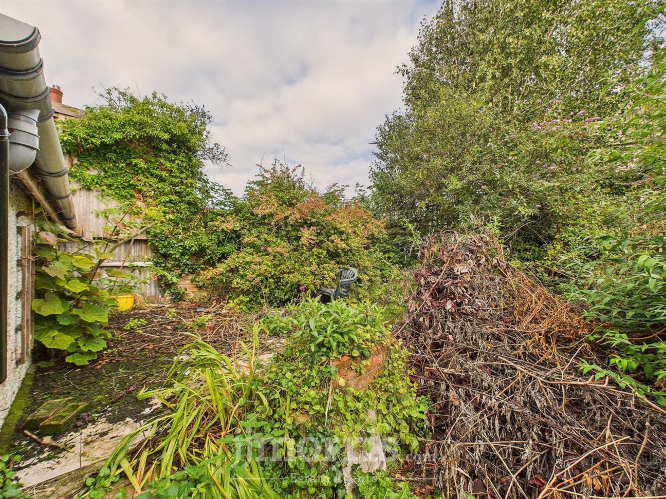 West Street, Newport, SA42