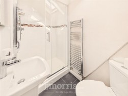 Cenarth, Newcastle Emlyn, SA38