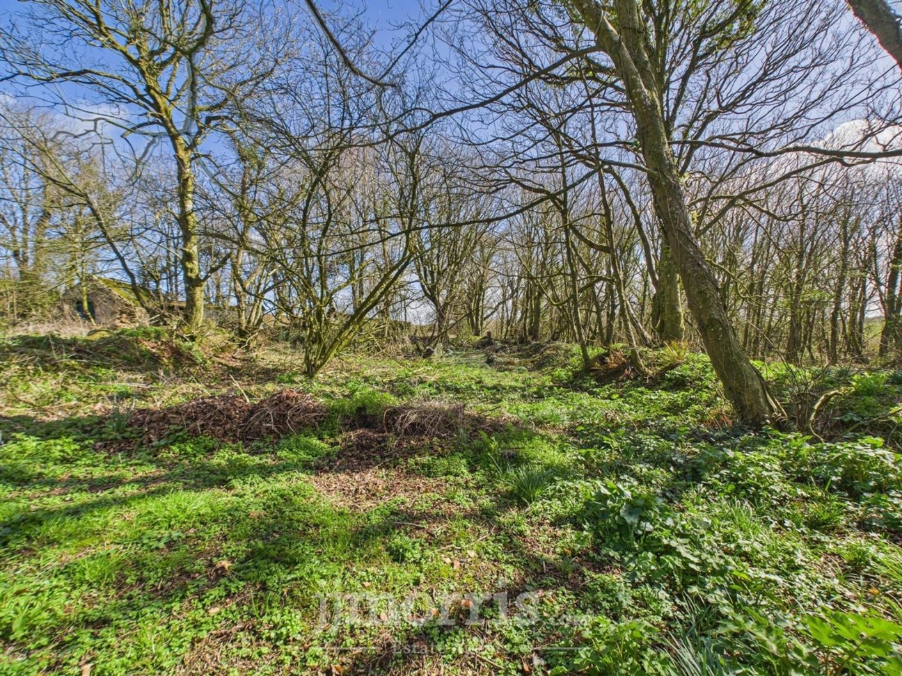 Mathry, Haverfordwest, SA62