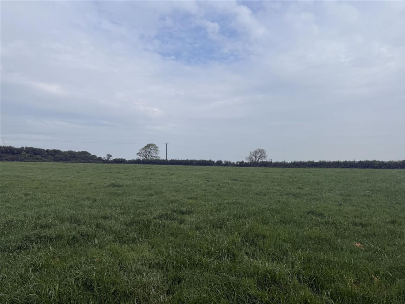 Liddeston, Nr. Milford Haven, SA73