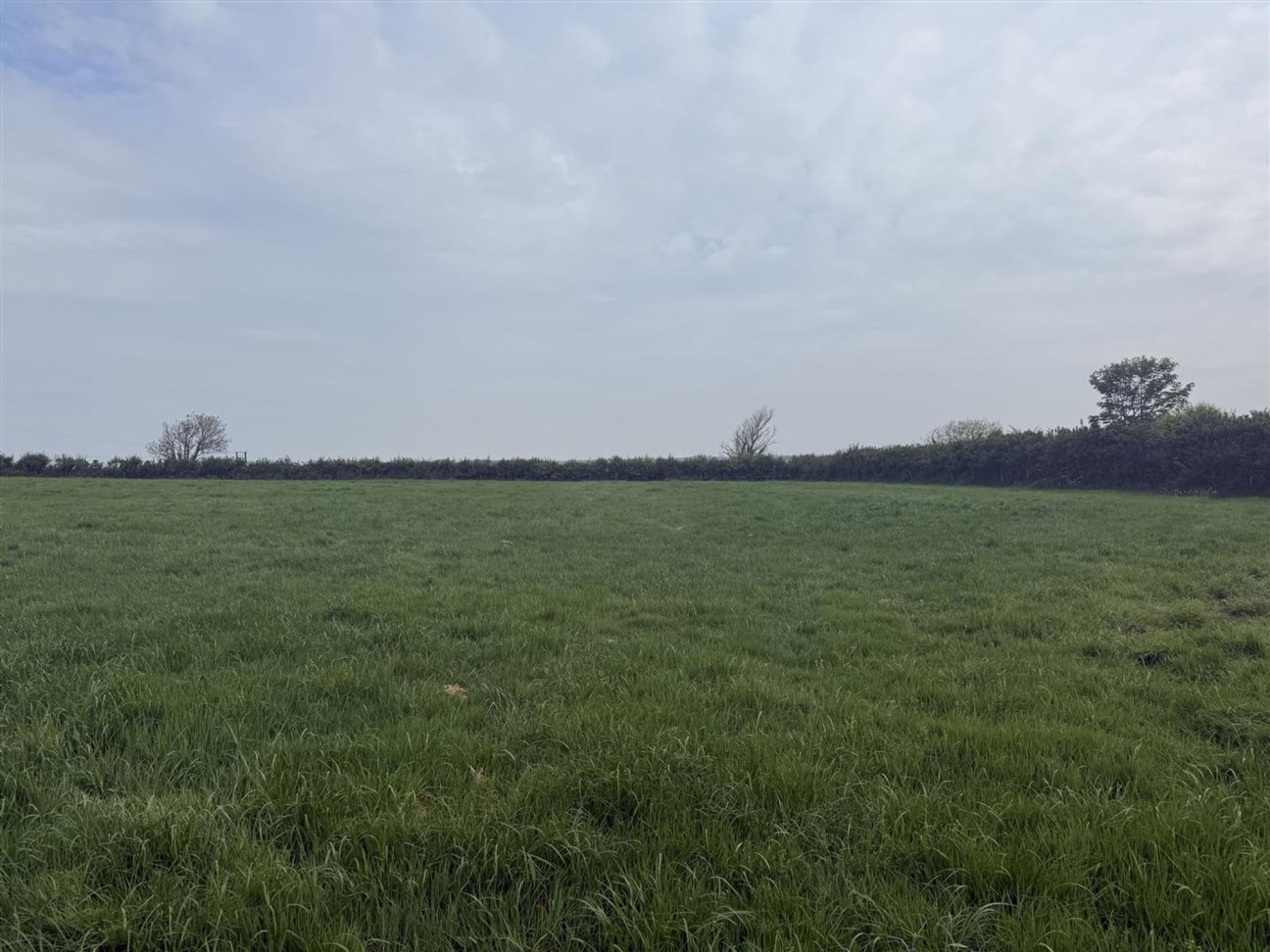 Liddeston, Nr. Milford Haven, SA73