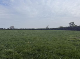 Liddeston, Nr. Milford Haven, SA73