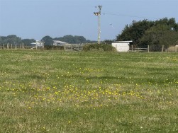 Carnhedryn, Solva, SA62