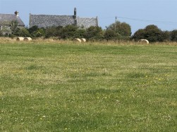 Carnhedryn, Solva, SA62