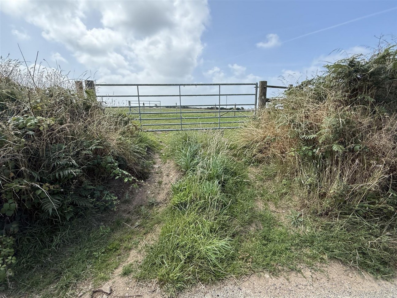 Carnhedryn, Solva, SA62