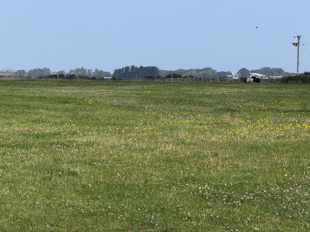 Carnhedryn, Solva, SA62