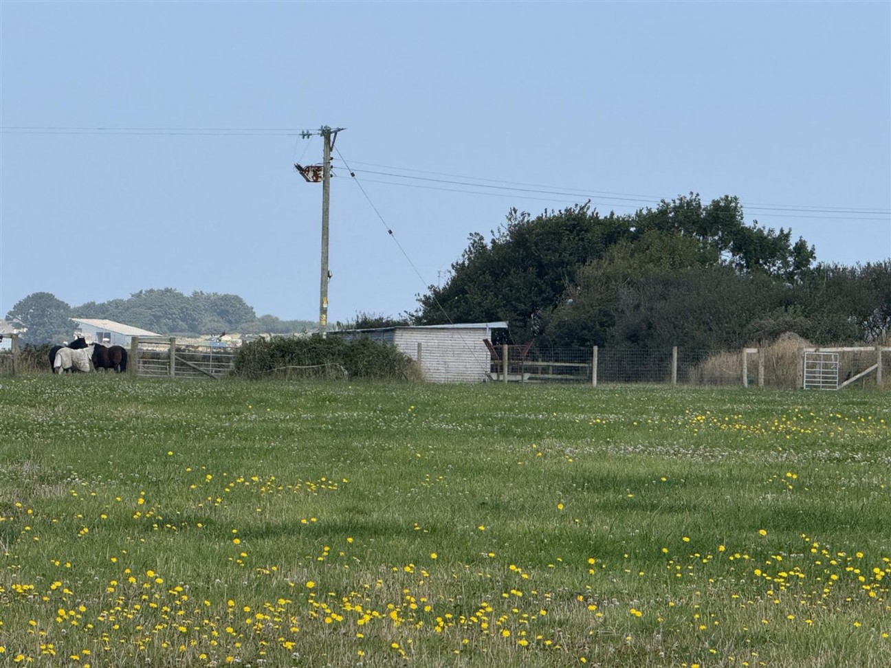 Carnhedryn, Solva, SA62