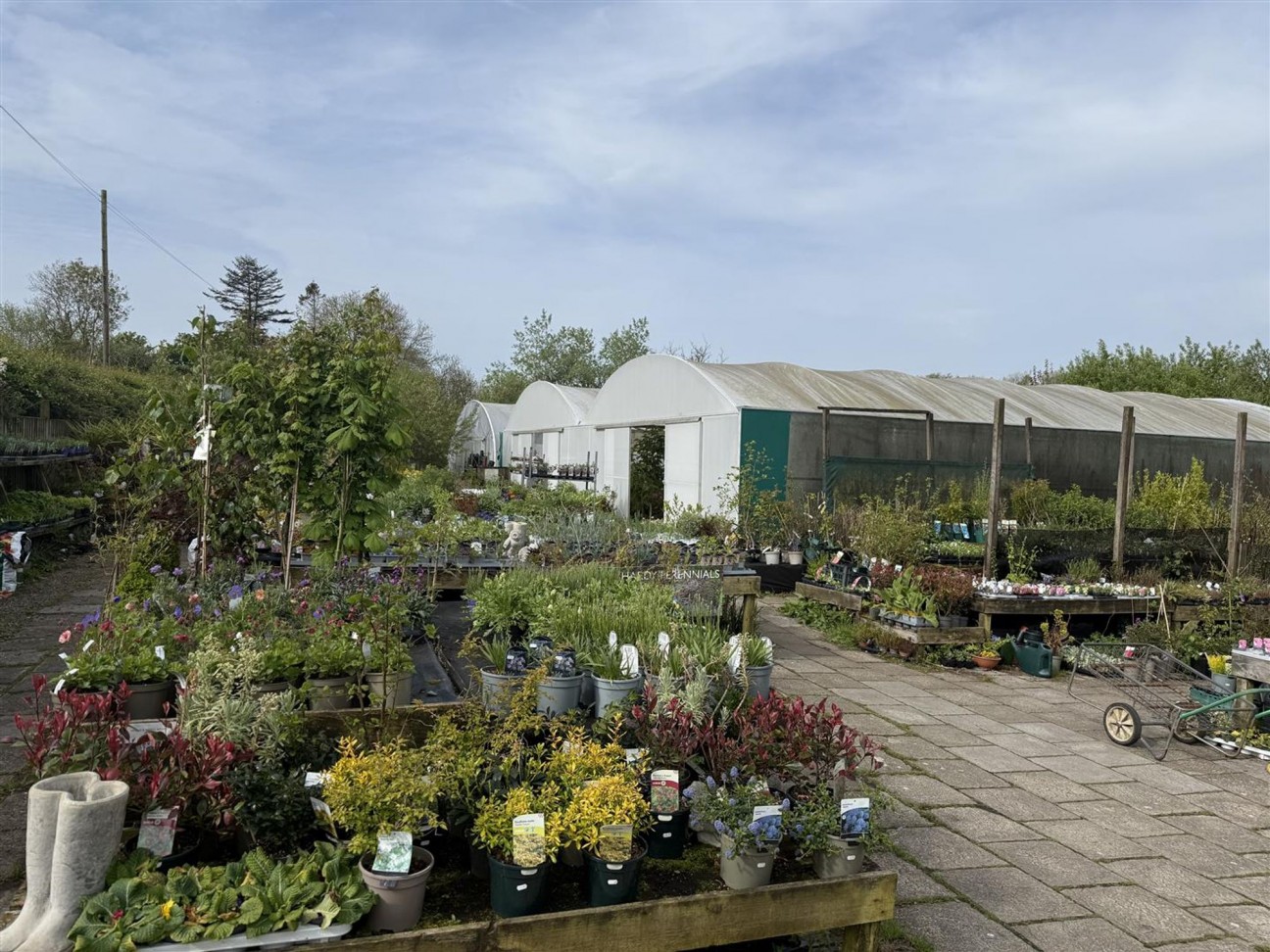 Crundale, Haverfordwest, SA62