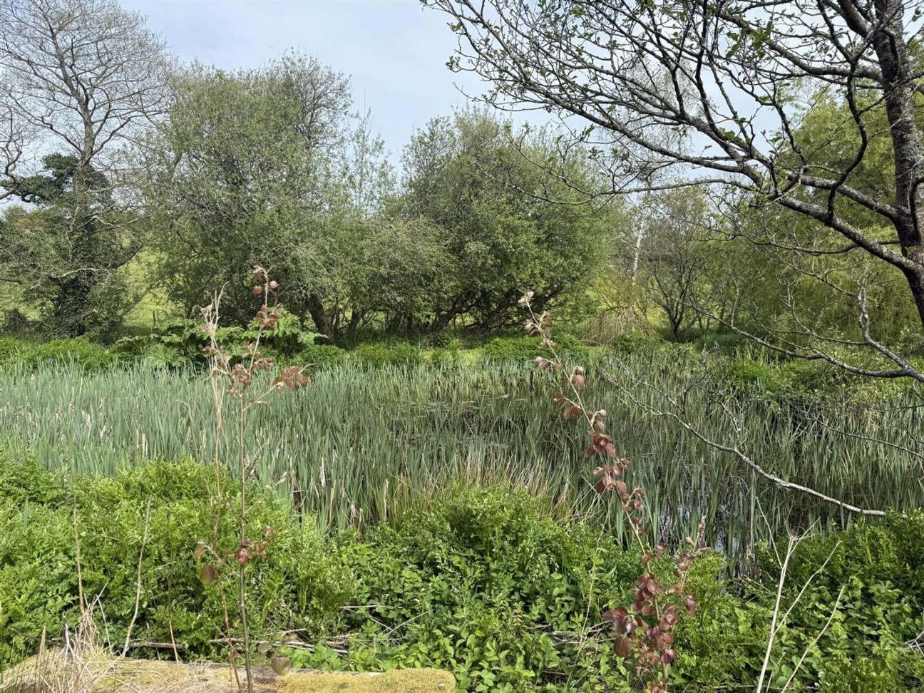 Crundale, Haverfordwest, SA62