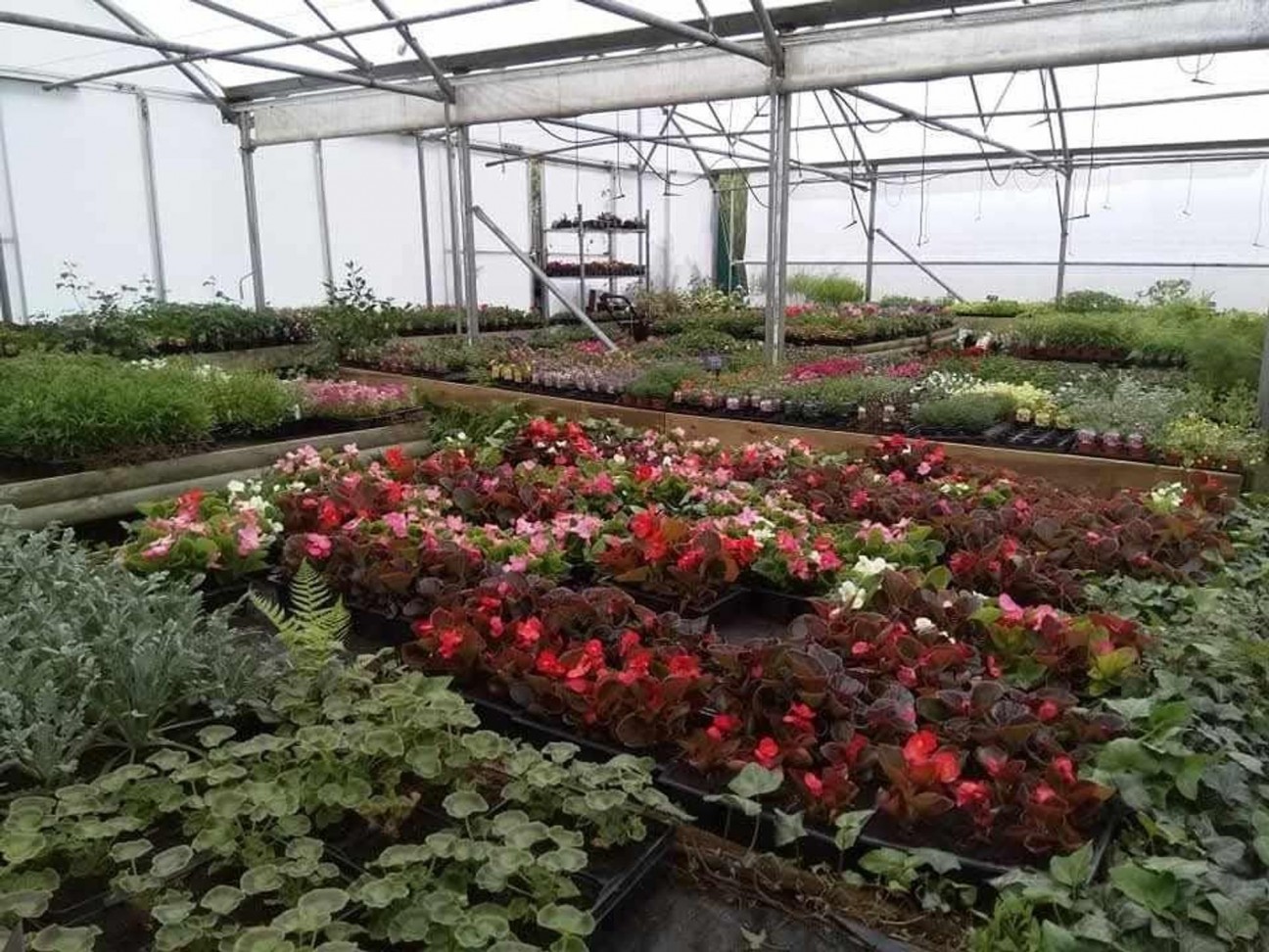 Crundale, Haverfordwest, SA62